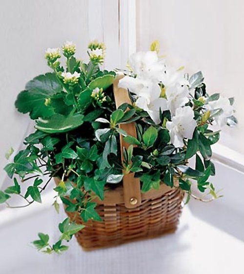 The FTD&reg; White Assortment Basket