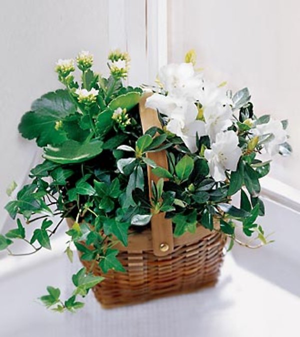 The FTD&reg; White Assortment Basket