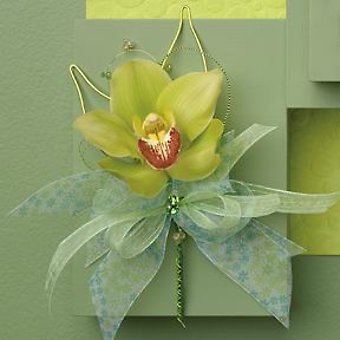 Green Cymbidium Orchid boutonniere