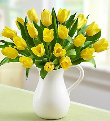 Yellow Tulips In Pitcher
