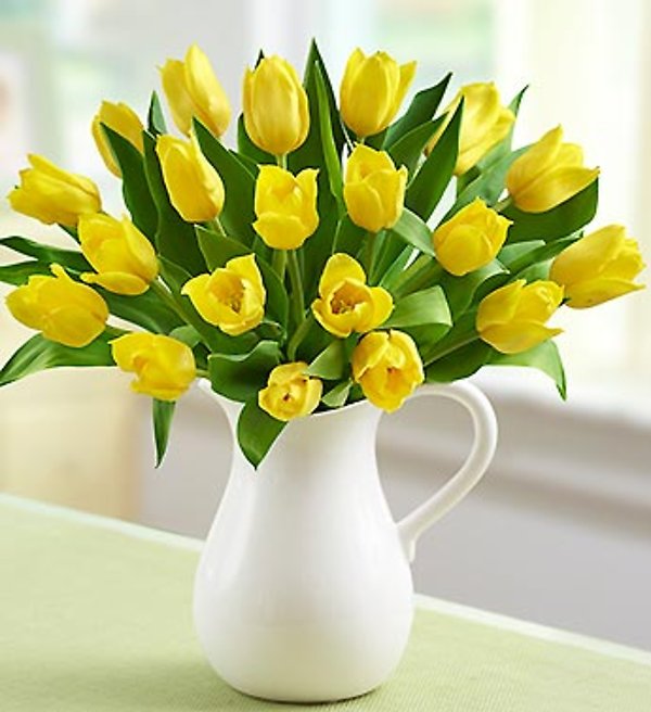 Yellow Tulips In Pitcher