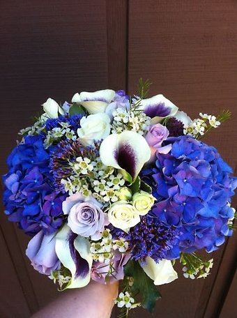 Vibrant blue hydrangea and picasso calla lilies