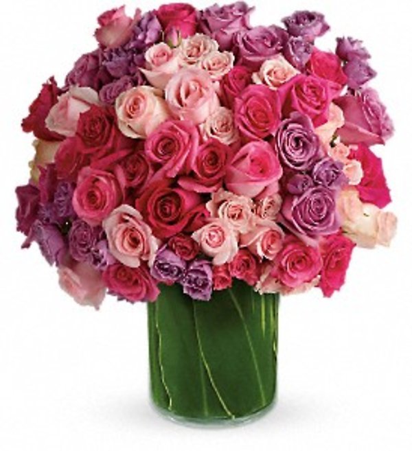 Rose Rapture