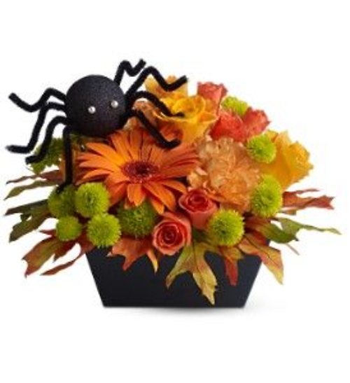 Cute n\' Creepy