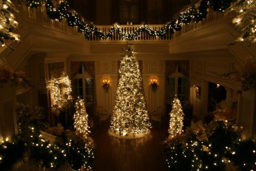 Estate Main Hall Tree