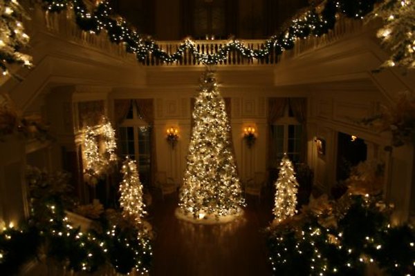 Estate Main Hall Tree