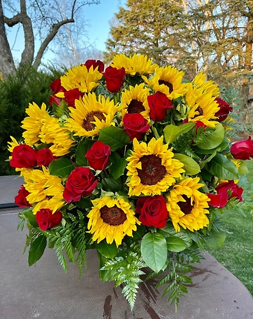 Sun Filled Roses
