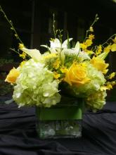 Square Vase with Yellow Orchids and Lime Hydrangea