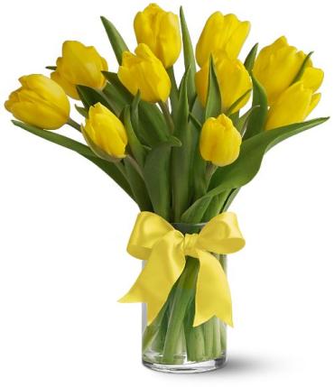 Teleflora\'s Sunny Yellow Tulips
