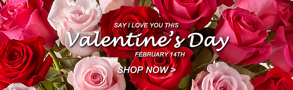 Valentine's Day 2/14