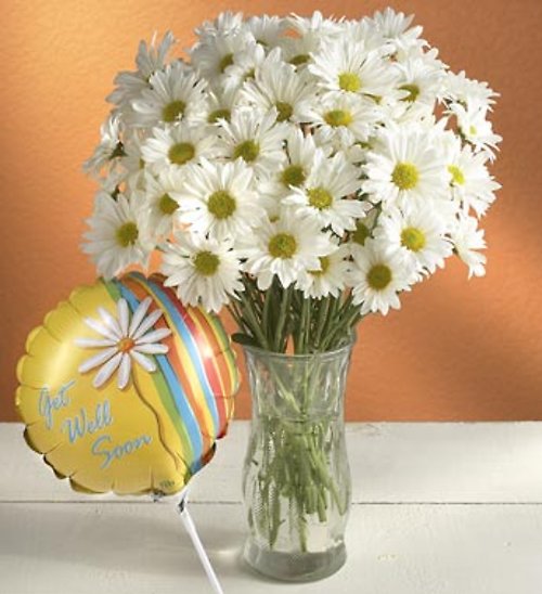 Daisy Bouquet to say "Get Well"