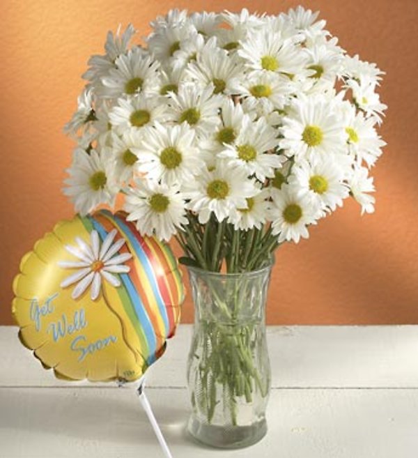 Daisy Bouquet to say "Get Well"