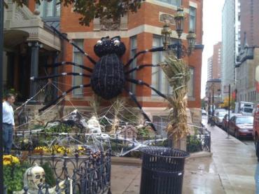 Gigantic Spider 2009