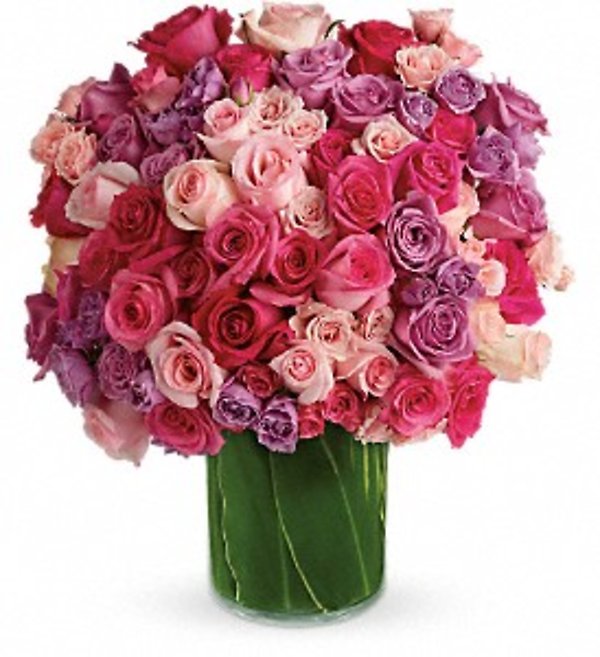 Rose Rapture