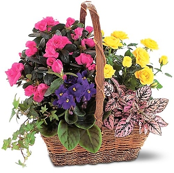 Blooming Garden Basket