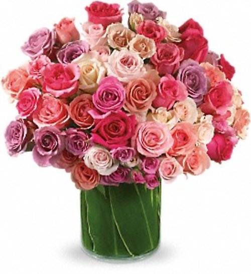 Rose Rapture