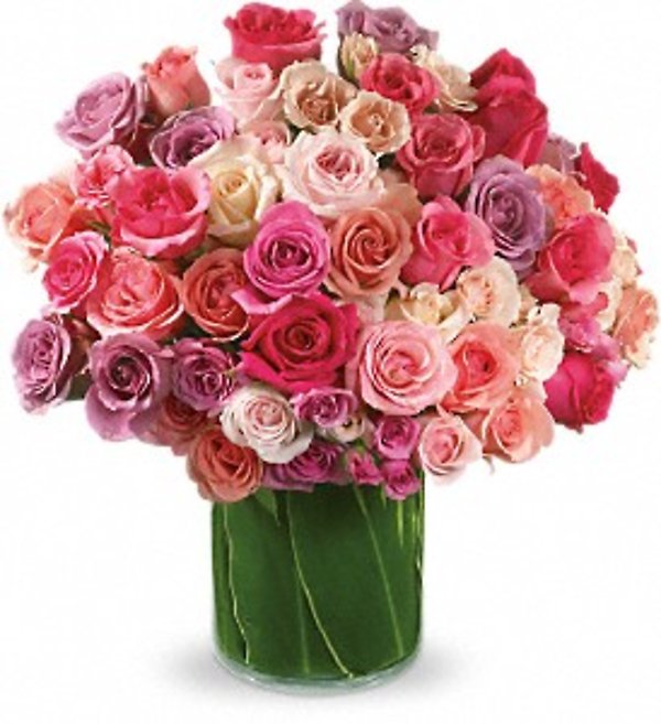 Rose Rapture