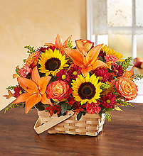 Fields of Europe™ for Fall Basket
