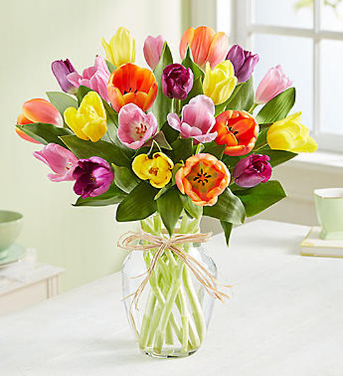 Timeless Tulips