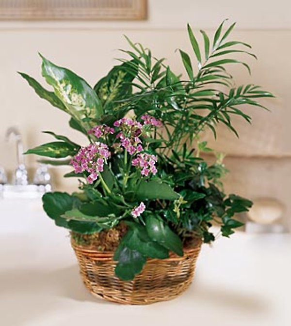 The FTD&reg; French Garden
