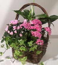 Blooming Gift Basket