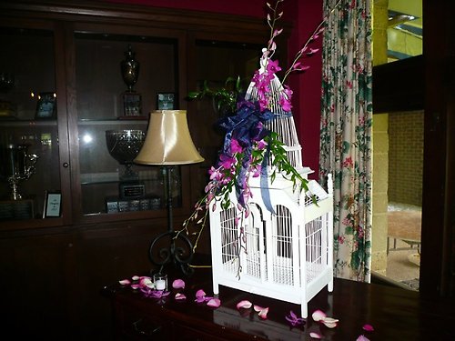 Phebus Card Cage