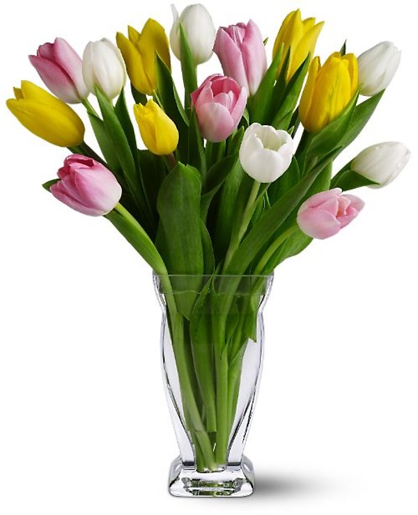 15 Mixed Tulips