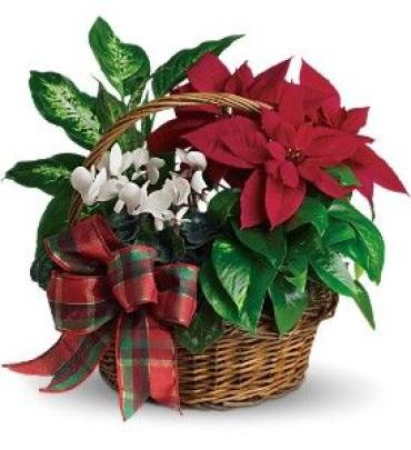 Holiday Homecoming Basket