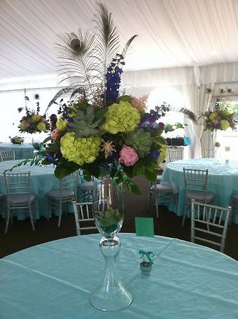 Succulent Centerpiece with Peacock Feathers