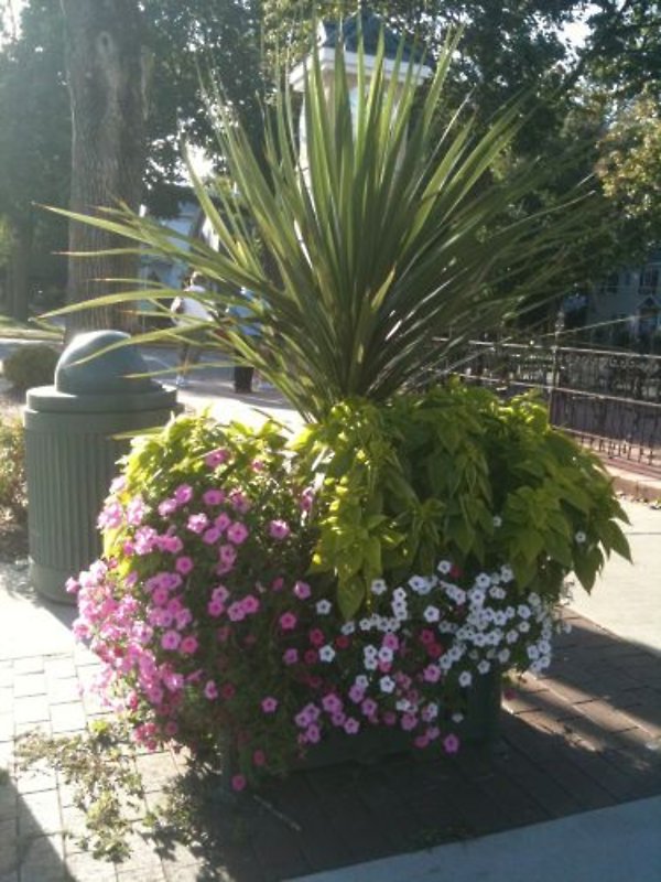 Summer Pots Downtown Lake Geneva