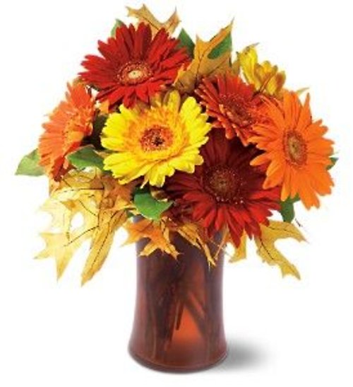 Autumn Gerberas