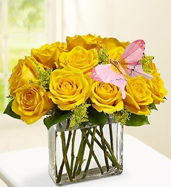 Modern Roses - One Dozen Yellow