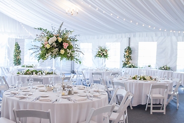 Reception at The Pavilion Tent