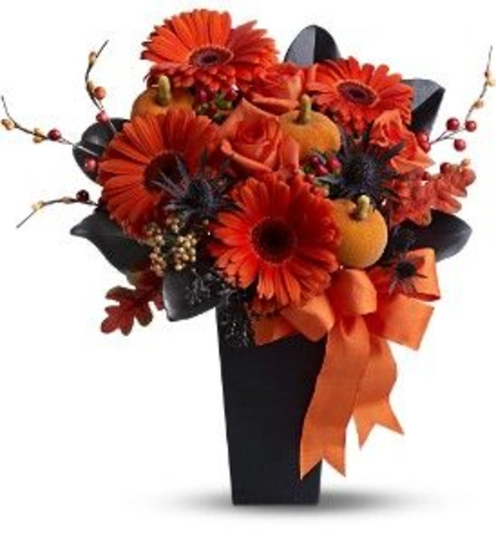 Jack O\' Lantern Blooms