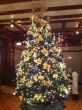 2011 Museum Tree