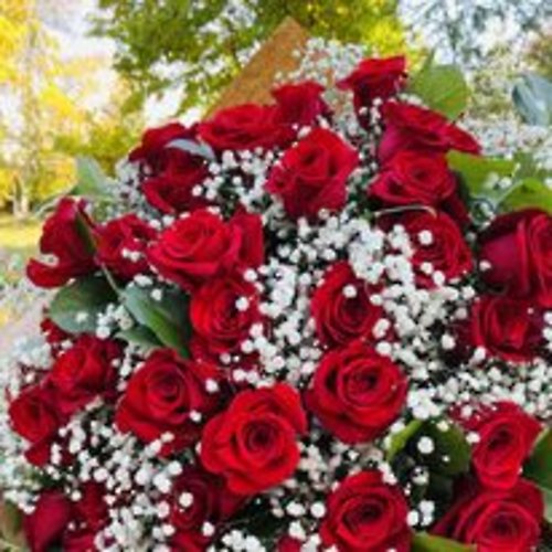 4 Dozen Roses Bouquet