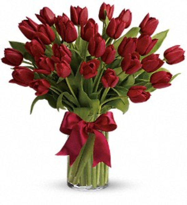 Radiantly Red Tulips