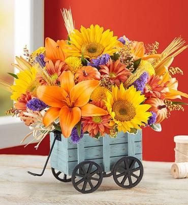 Harvest Hayride Arrangement