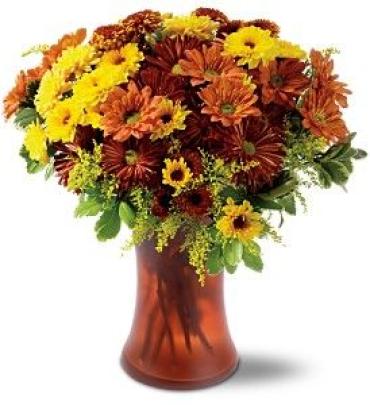 Country Chrysanthemums