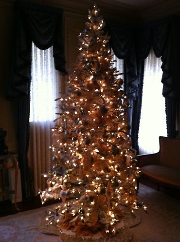 2011 Museum White Tree