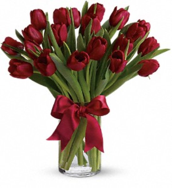 Radiantly Red Tulips
