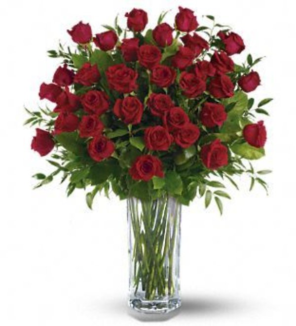 Three Dozen Red Roses